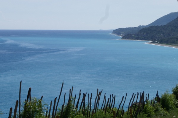 Kamera 1 2014 Larimar 073
