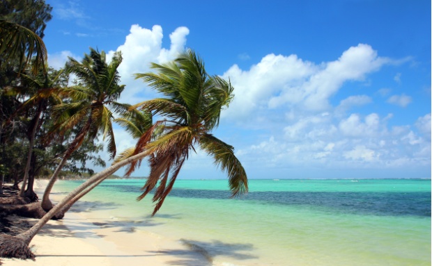 shutterstock 142330987 shutterstock 142330987