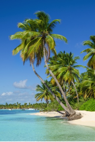 shutterstock 225254236 shutterstock 225254236